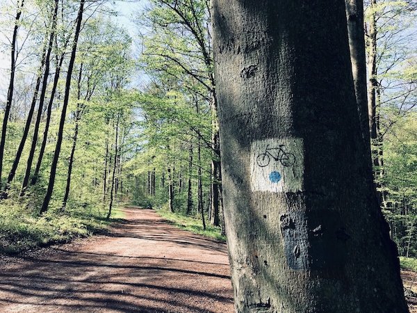 Szlak Trójmiejskiego Parku Krajobrazowego